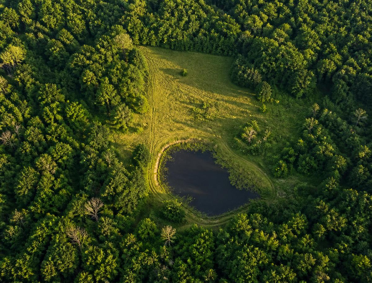 Drone view of a wooded land parcel with a clearing and pond