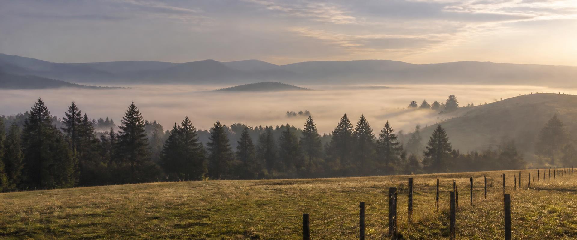 Misty morning over countryside acreage