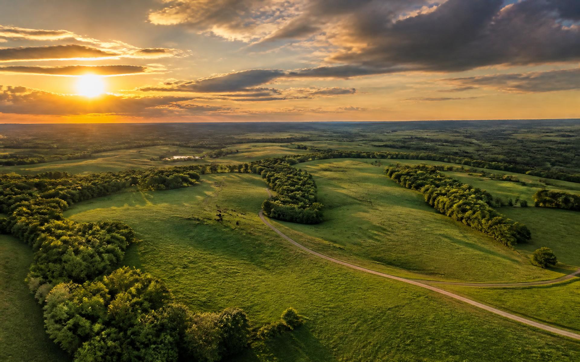 Aerial view of open pasture and tree lines at sunset